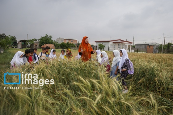 گزارش تصویری | تحصیل در باغ خانه معلم