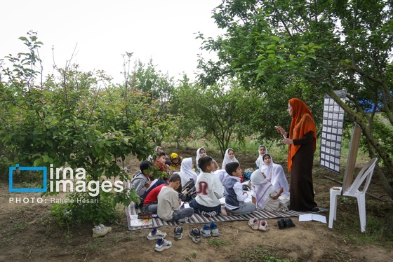 گزارش تصویری | تحصیل در باغ خانه معلم