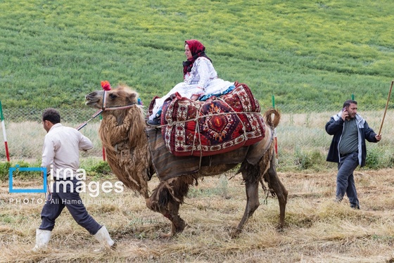 ایران زیباست | سی‌ویکمین جشنواره عشایر آذربایجان
