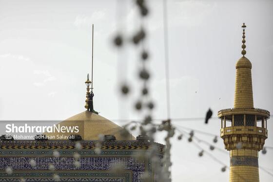 گزارش تصویری | مراسم پر فیض دعای عرفه در حرم مطهر رضوی | سه شنبه ۵ خرداد ۱۴۰۵