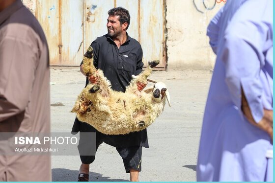 گزارش تصویری | عید قربان در زاهدان