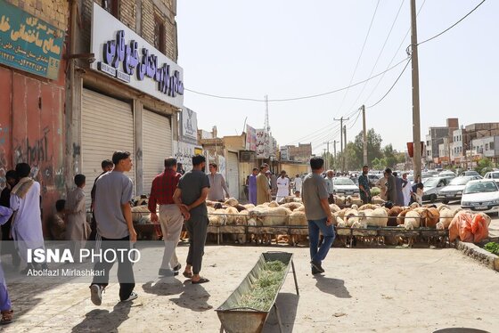 گزارش تصویری | عید قربان در زاهدان