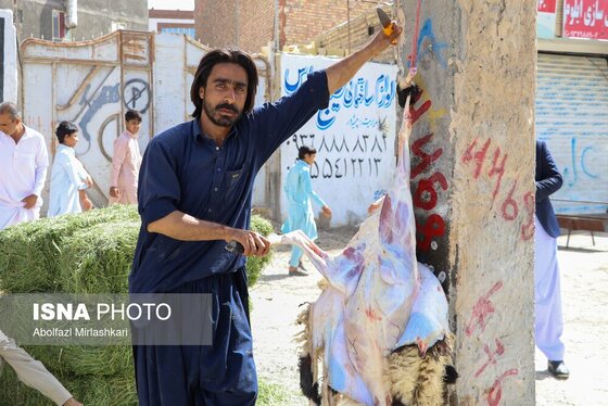 گزارش تصویری | عید قربان در زاهدان