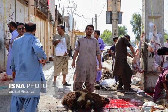 گزارش تصویری | عید قربان در زاهدان