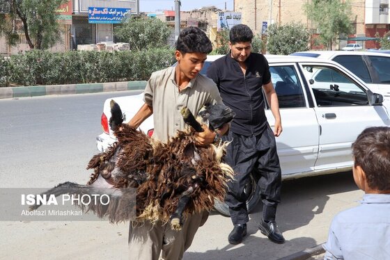 گزارش تصویری | عید قربان در زاهدان