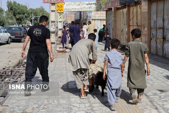 گزارش تصویری | عید قربان در زاهدان