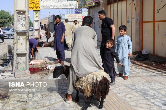 گزارش تصویری | عید قربان در زاهدان