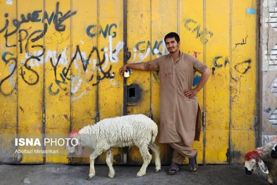 گزارش تصویری | عید قربان در زاهدان