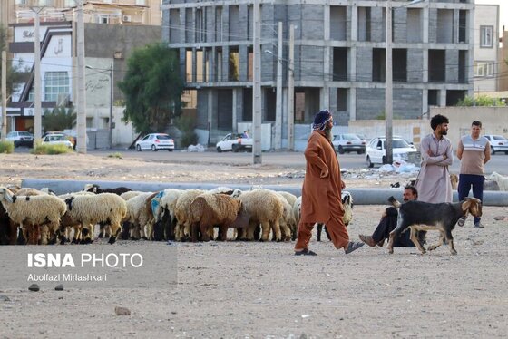 گزارش تصویری | عید قربان در زاهدان
