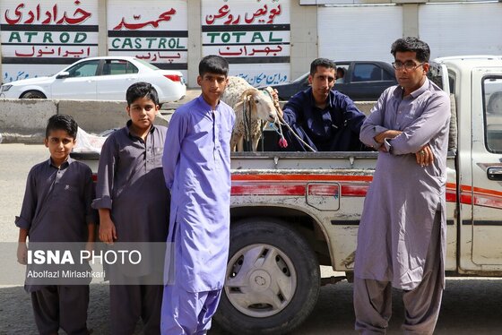 گزارش تصویری | عید قربان در زاهدان