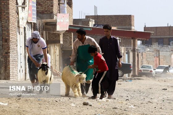 گزارش تصویری | عید قربان در زاهدان