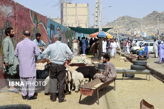 گزارش تصویری | عید قربان در زاهدان