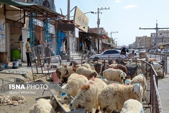 گزارش تصویری | عید قربان در زاهدان