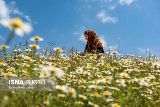 گزارش تصویری | عید قربان در میان مرزنشینان ترکمن در راز و جرگلان