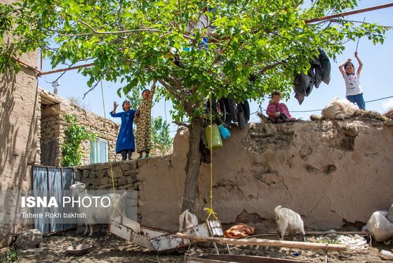 گزارش تصویری | عید قربان در میان مرزنشینان ترکمن در راز و جرگلان