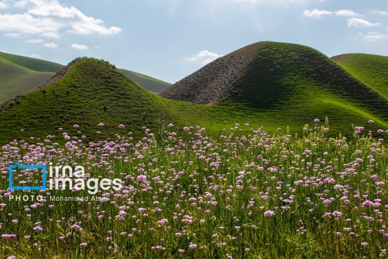 ایران زیباست | بهارِ گلستان