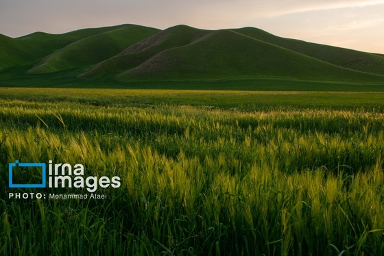 ایران زیباست | بهارِ گلستان