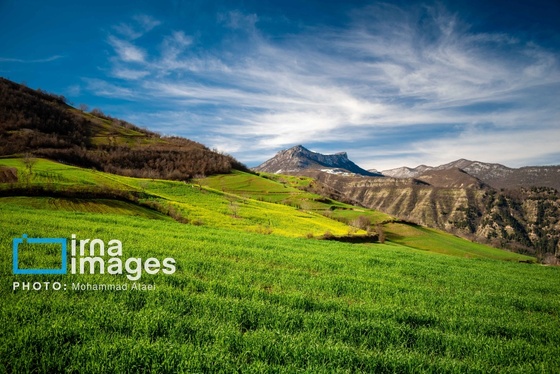 ایران زیباست | بهارِ گلستان