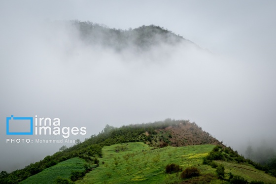 ایران زیباست | بهارِ گلستان