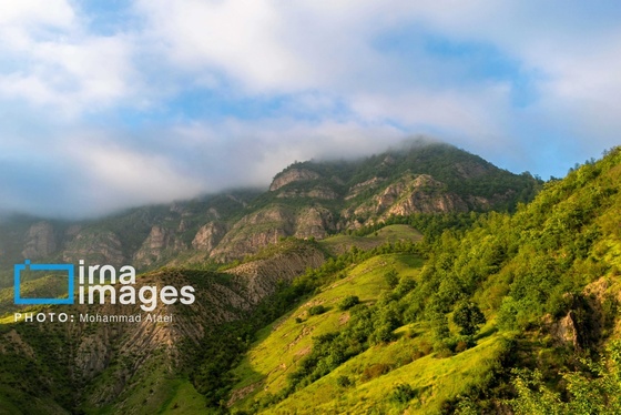 ایران زیباست | بهارِ گلستان