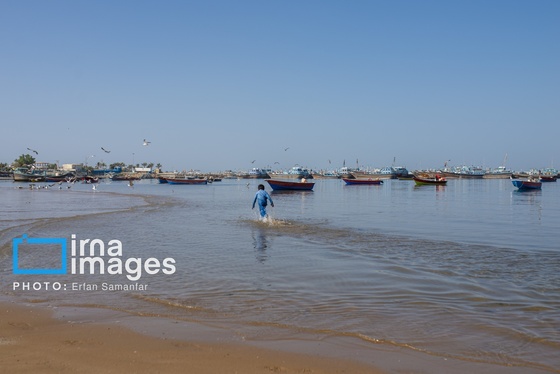 گزارش تصویری | سیستان و بلوچستان سرزمین باد و دریا
