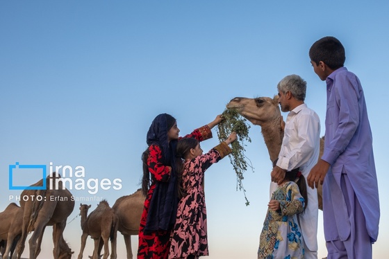 گزارش تصویری | سیستان و بلوچستان سرزمین باد و دریا