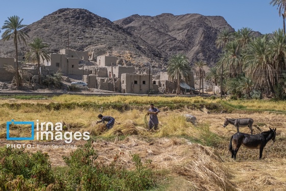گزارش تصویری | سیستان و بلوچستان سرزمین باد و دریا