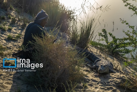 گزارش تصویری | سیستان و بلوچستان سرزمین باد و دریا