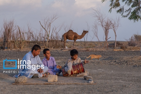 گزارش تصویری | سیستان و بلوچستان سرزمین باد و دریا