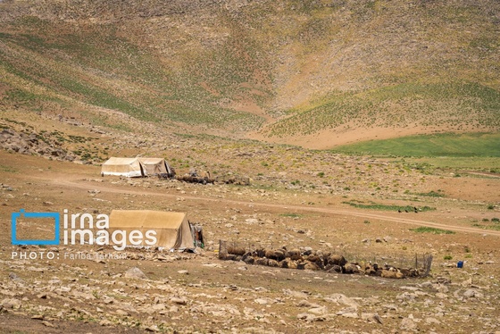 گزارش تصویری | مویه و ماتم در آیین بختیاری