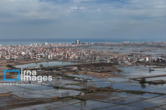 گزارش تصویری | شالیزار از بالا