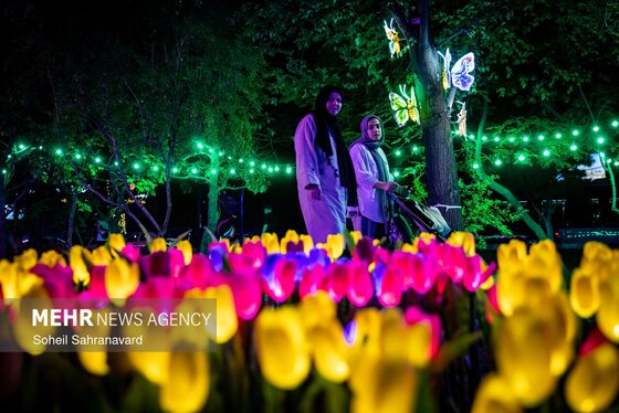 گزارش تصویری | جشن نور در تهران
