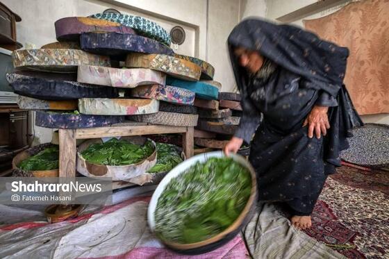 گزارش تصویری | نوغانداری، تولید ثروت از کرم ابریشم در جاده ابریشم