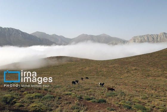 ایران زیباست | سقف سفید آسمان ایران