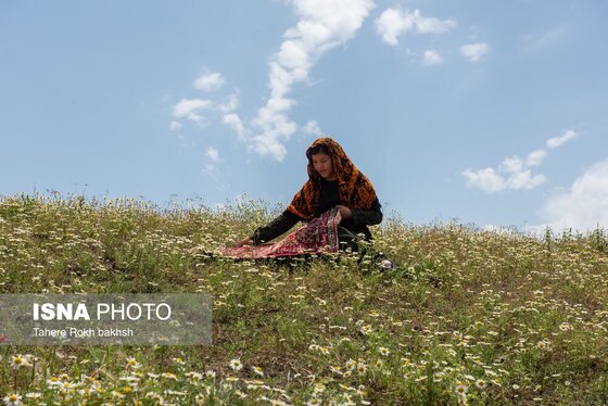 گزارش تصویری | ۲۰ خرداد، روز جهانی صنایع دستی هنر دست فراموش شده