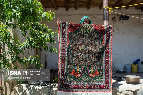 گزارش تصویری | ۲۰ خرداد، روز جهانی صنایع دستی هنر دست فراموش شده