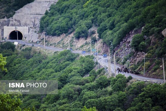 گزارش تصویری | کوچ سالانه دامداران سنتی در محور کرج - چالوس