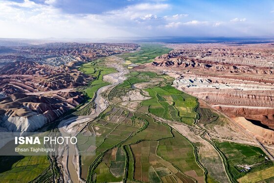 گزارش تصویری | رونق کشت برنج در حاشیه رودخانه قزل اوزن