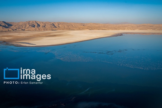 گزارش تصویری | شکوه مهاجرت در دریاچه مهارلو