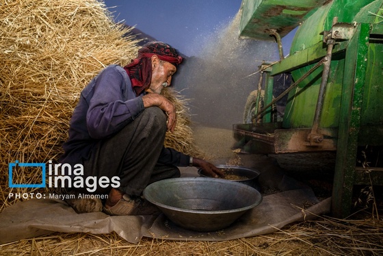 گزارش تصویری | فصل کشت و کار عشایر بختیاری