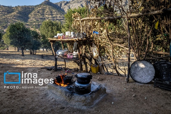 گزارش تصویری | فصل کشت و کار عشایر بختیاری