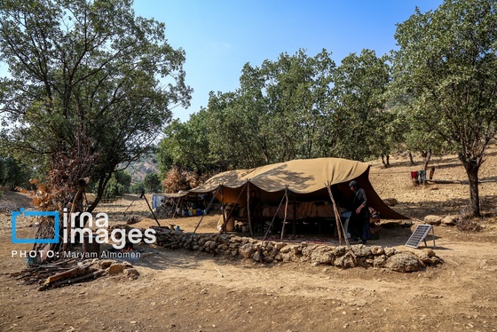 گزارش تصویری | فصل کشت و کار عشایر بختیاری