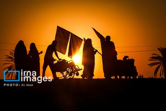 گزارش تصویری | پیاده روی در مسیر نخلستان‌های عراق