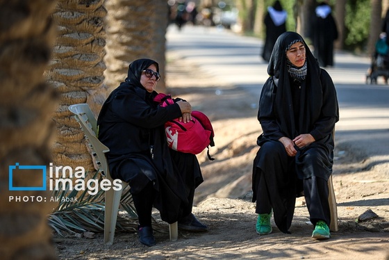گزارش تصویری | پیاده روی در مسیر نخلستان‌های عراق