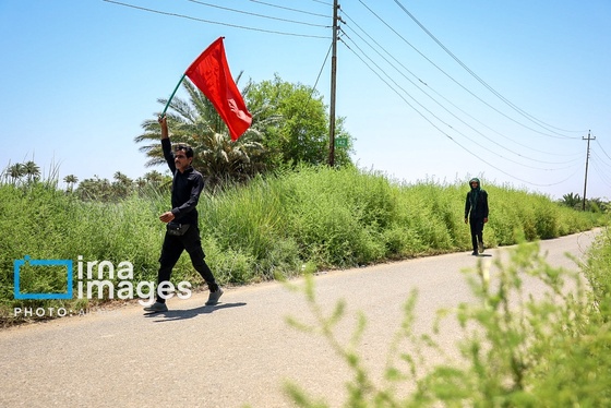 گزارش تصویری | پیاده روی در مسیر نخلستان‌های عراق