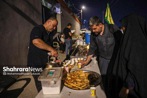 گزارش تصویری | پیاده روی شبانه زائران اربعین در طریق العلماء