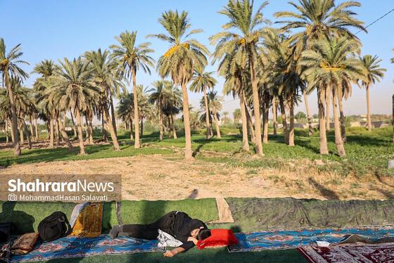 گزارش تصویری | طریق العلما؛ زائران اربعین در مسیر کربلا