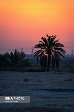 گزارش تصویری | نجف و کربلا یک روز مانده به اربعین ۱۴۴۸