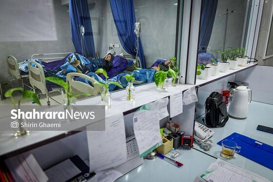 گزارش تصویری |بازدید خبرنگاران از فعالیت‌های جهاد دانشگاهی خراسان رضوی