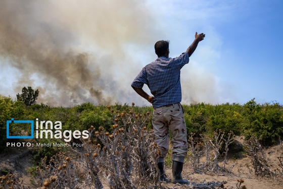 گزارش تصویری | میانکاله در آتش
